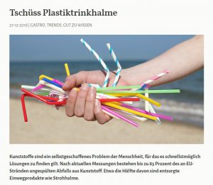 Tschüss Plastiktrinkhalme - Greentable Magazin